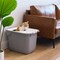 IRIS USA Square Top Entry Cat Litter Box, Kitty Litter Pan with Litter Particle Catching Cover and Privacy Walls, Cat Pan